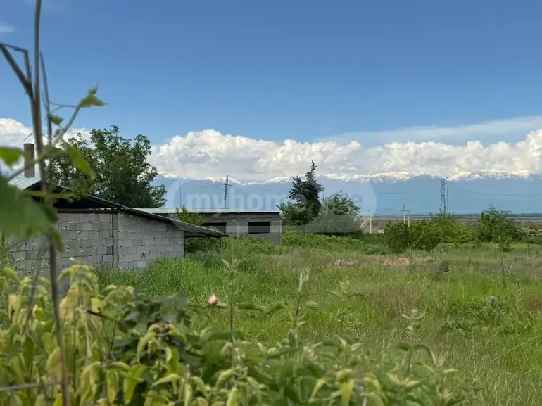 Agricultural Plot For Sale In Gurjaani view 8