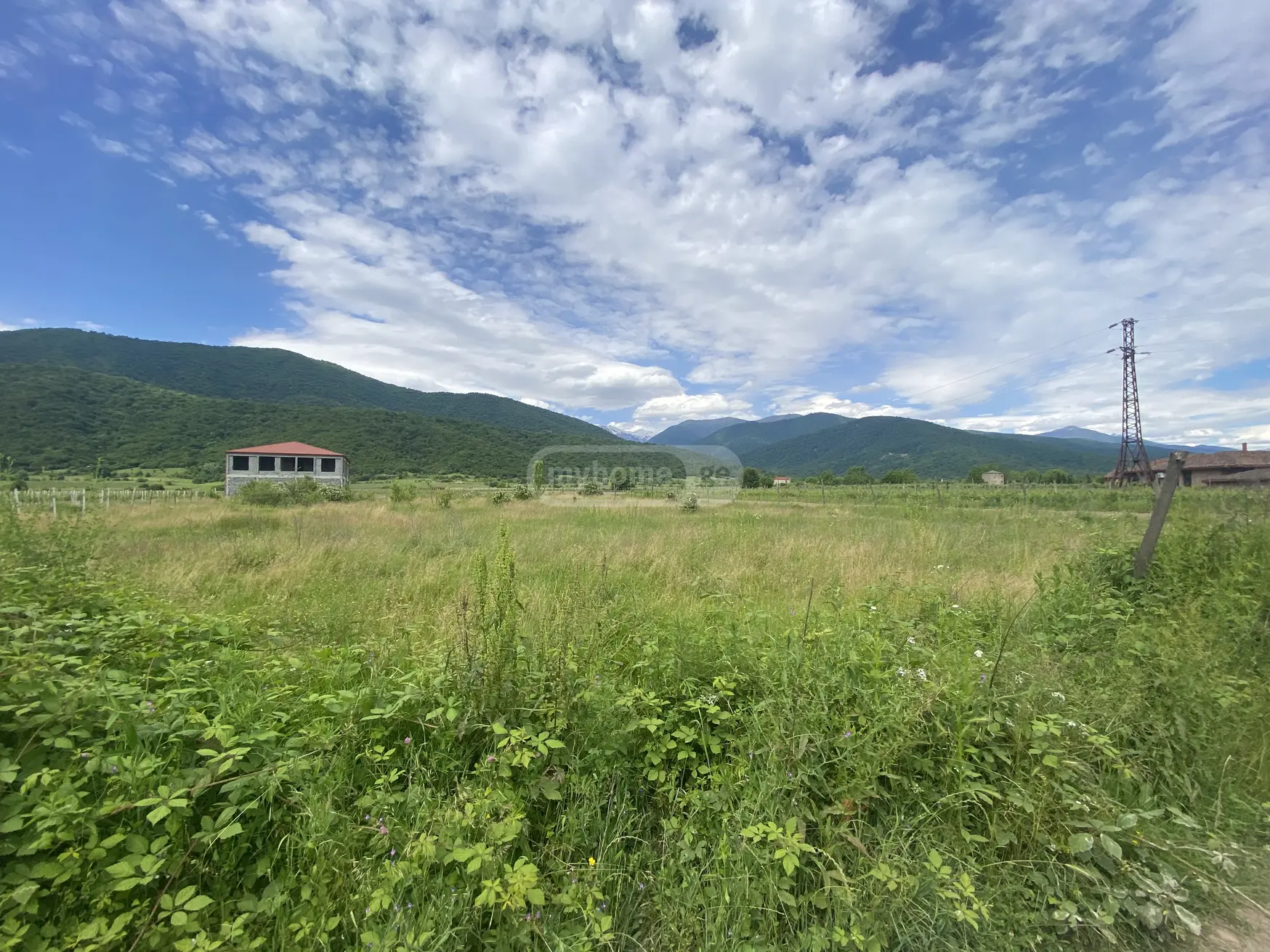 Agricultural Plot For Sale In Artana, In Telavi Municipality view 3