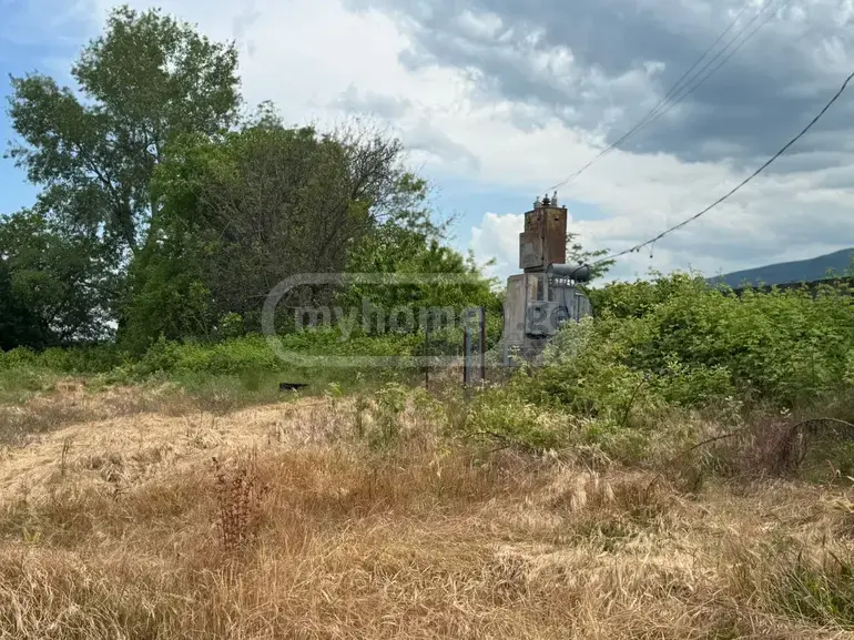 Agricultural Plot For Sale In Gurjaani view 12