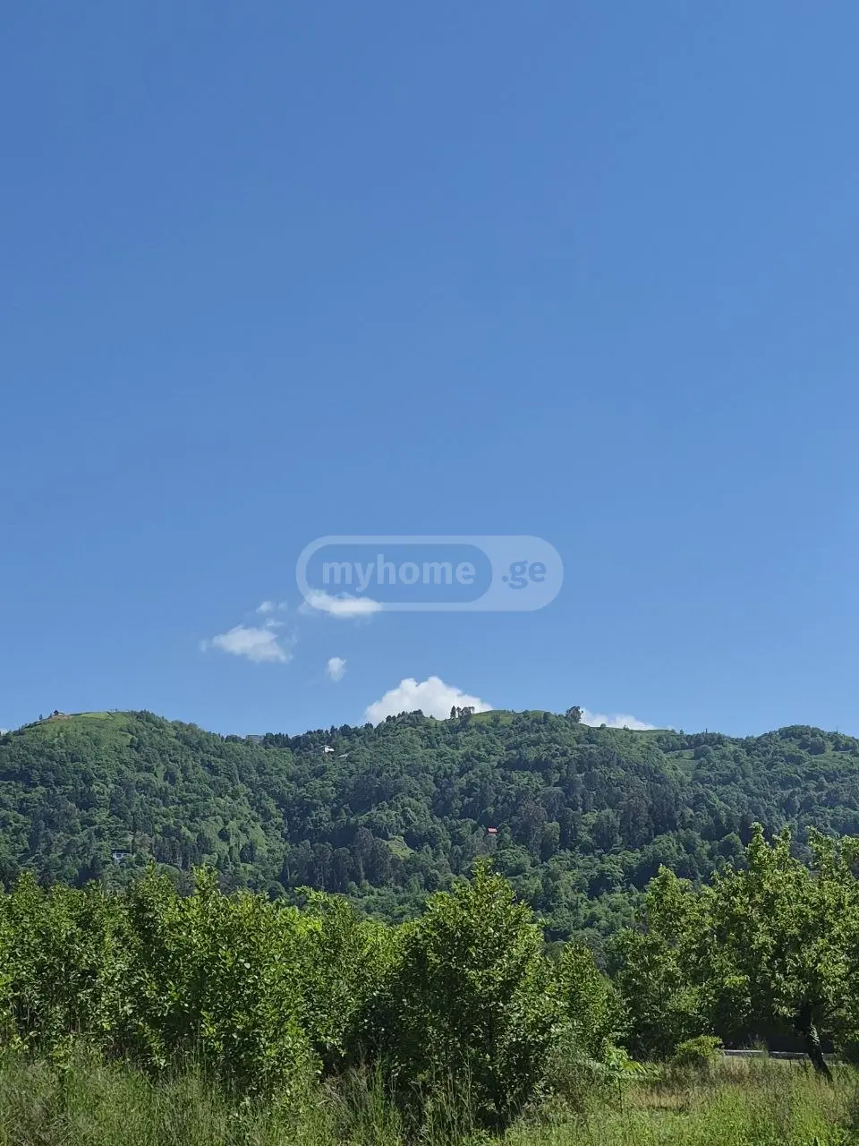 3 Room Private House For Rent In Gonio, In Khelvachauri Municipality view 11