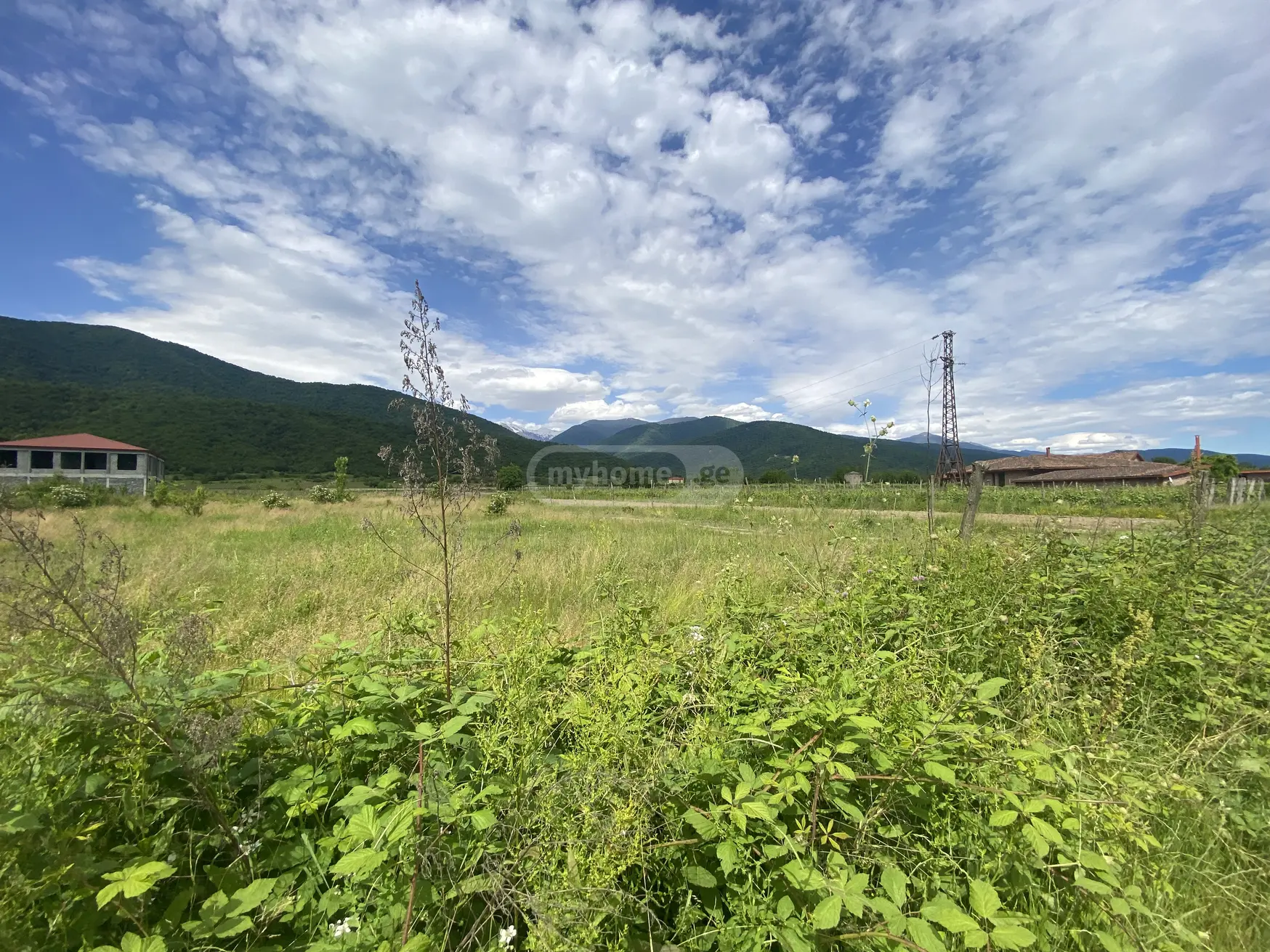 Agricultural Plot For Sale In Artana, In Telavi Municipality view 2