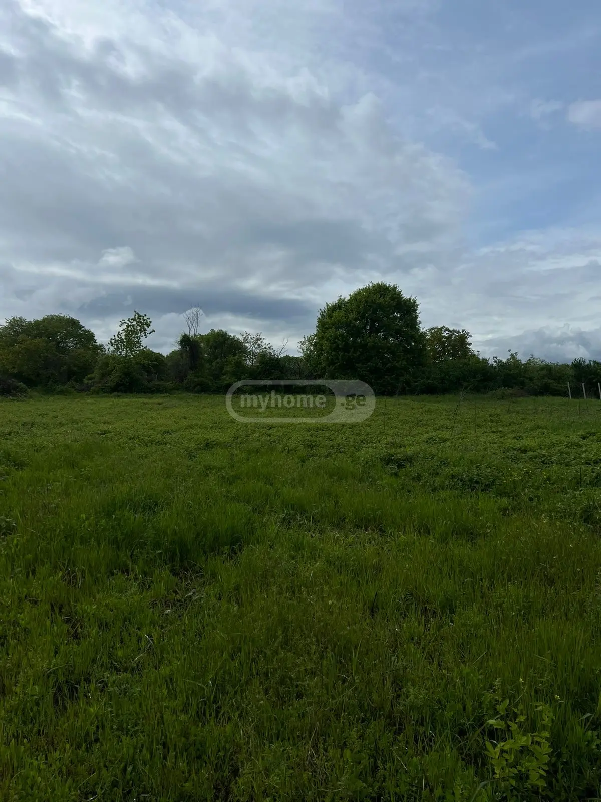 Agricultural Plot For Sale In Gulgula, In Telavi Municipality view 2