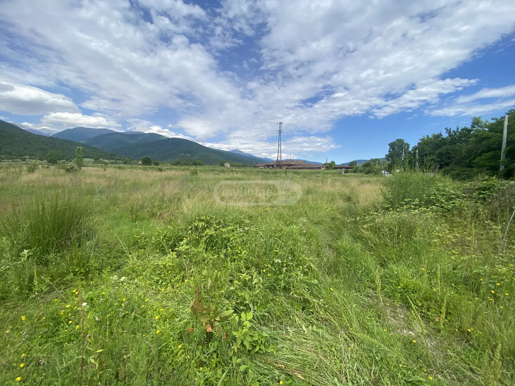 Agricultural Plot For Sale In Artana, In Telavi Municipality view 1