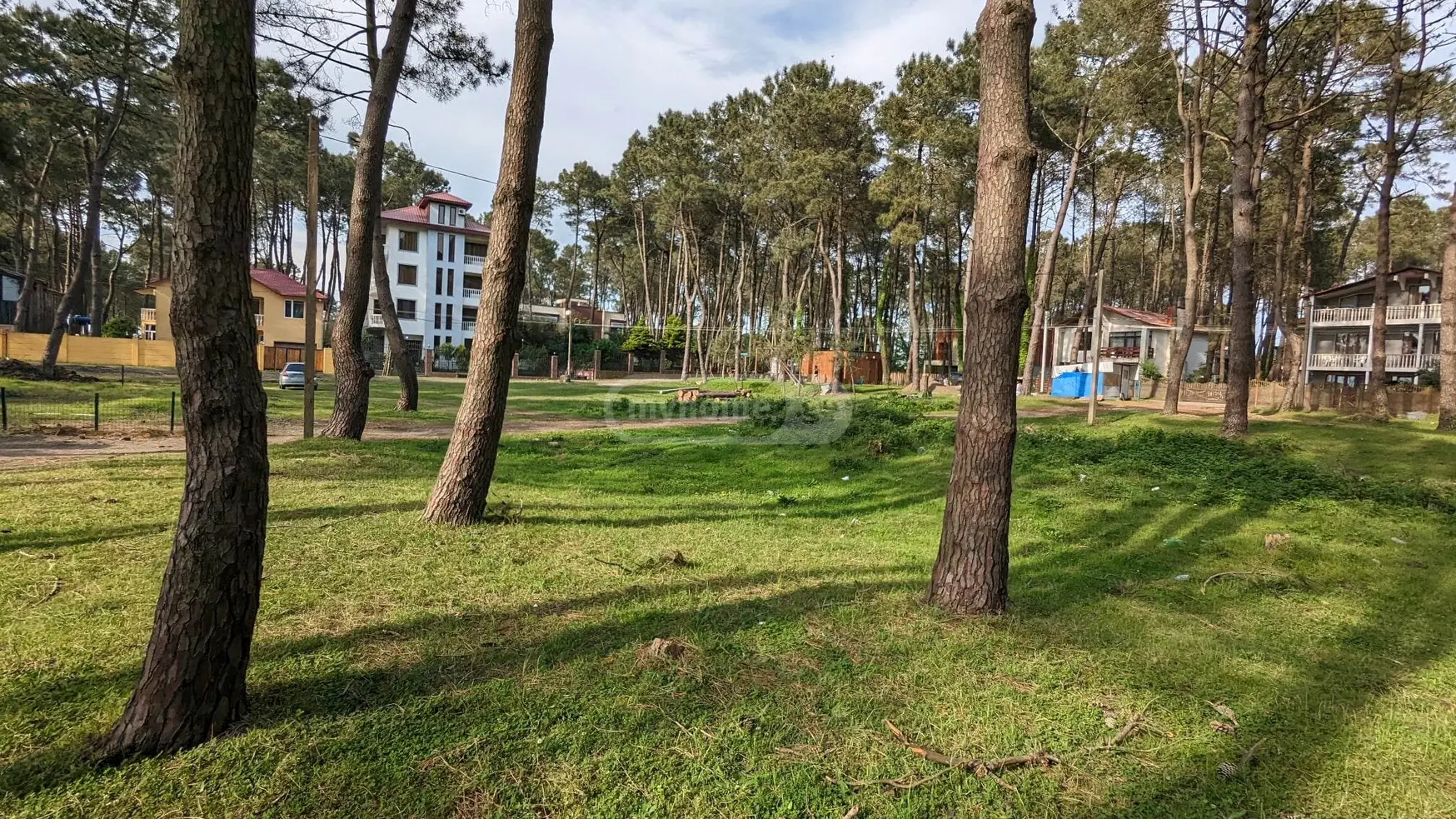 Agricultural Plot For Sale In Kaprovan, In Ozurgeti Municipality view 1
