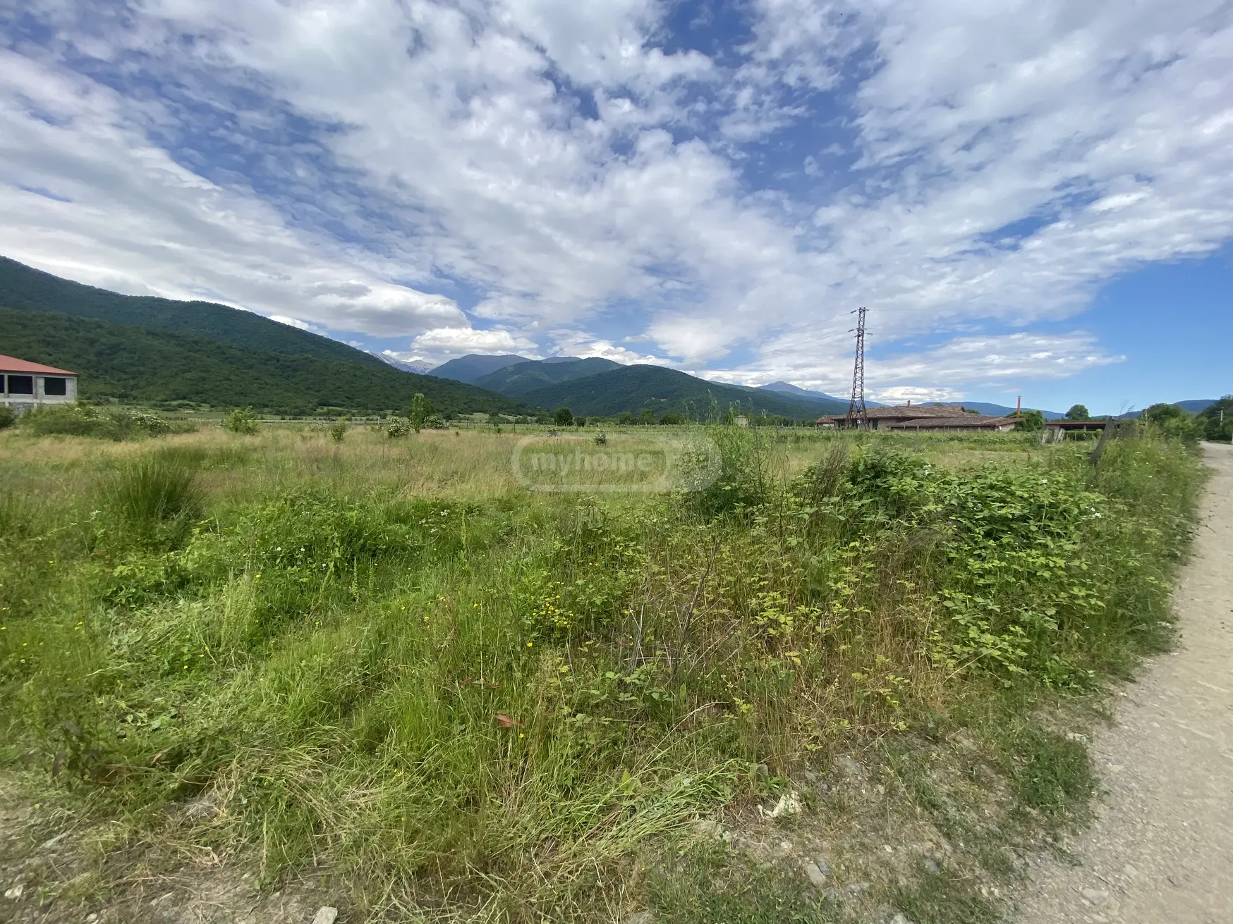 Agricultural Plot For Sale In Artana, In Telavi Municipality view 4