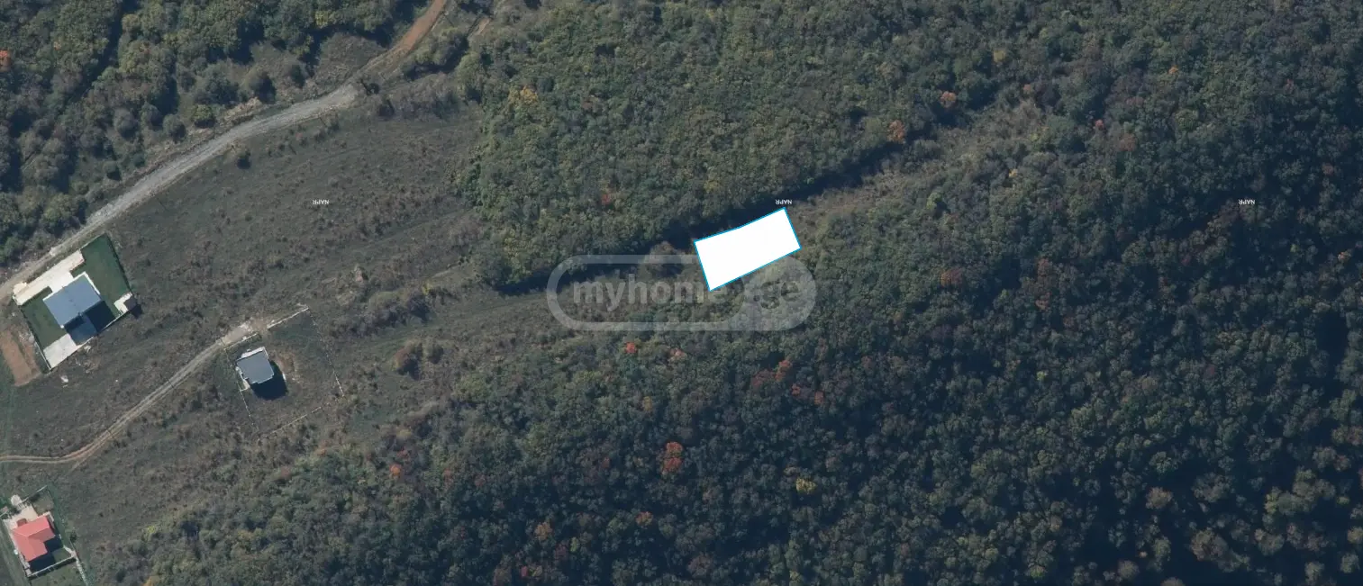 Agricultural Plot For Sale In Tetritskaro view 1