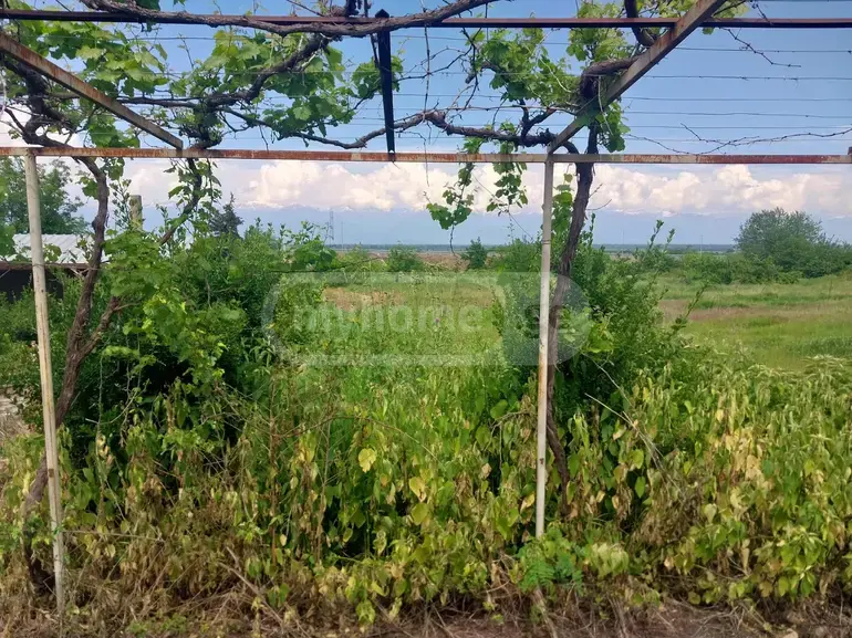 Agricultural Plot For Sale In Gurjaani view 13