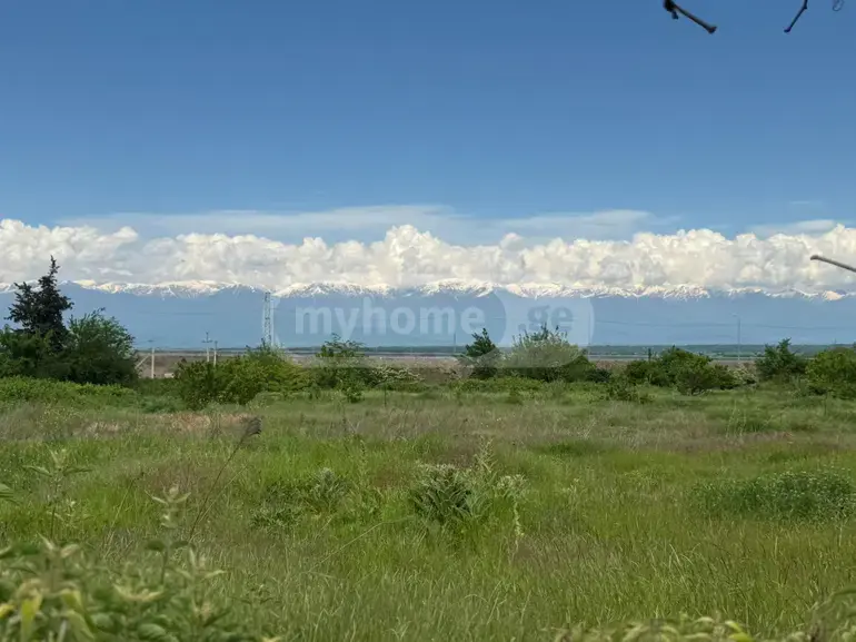 Agricultural Plot For Sale In Gurjaani view 10