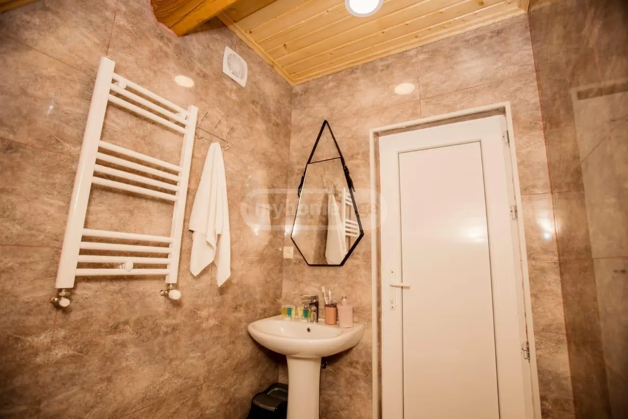 3 Room Country House Daily Rent In Borjomi view 13