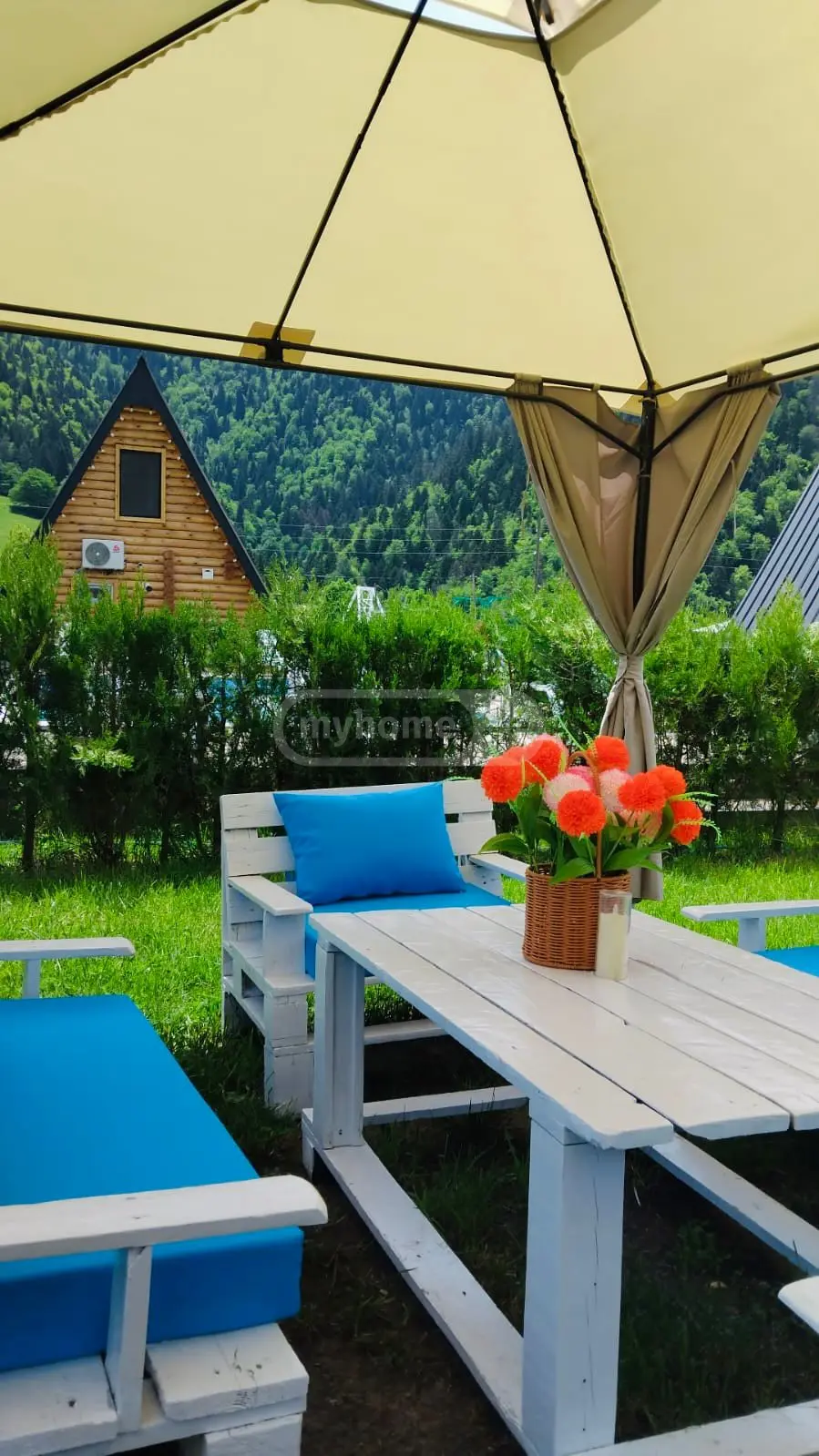 3 Room Country House Daily Rent In Borjomi view 14