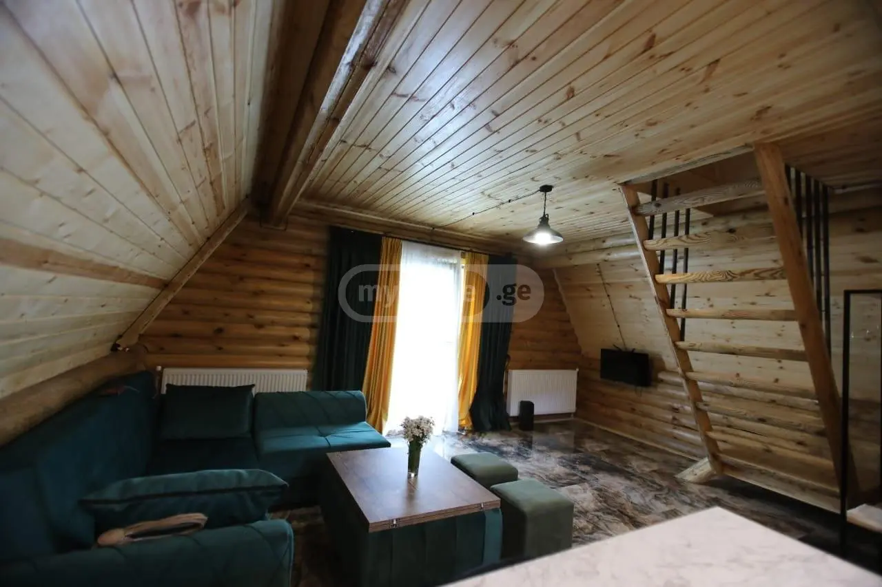 3 Room Country House Daily Rent In Borjomi view 10