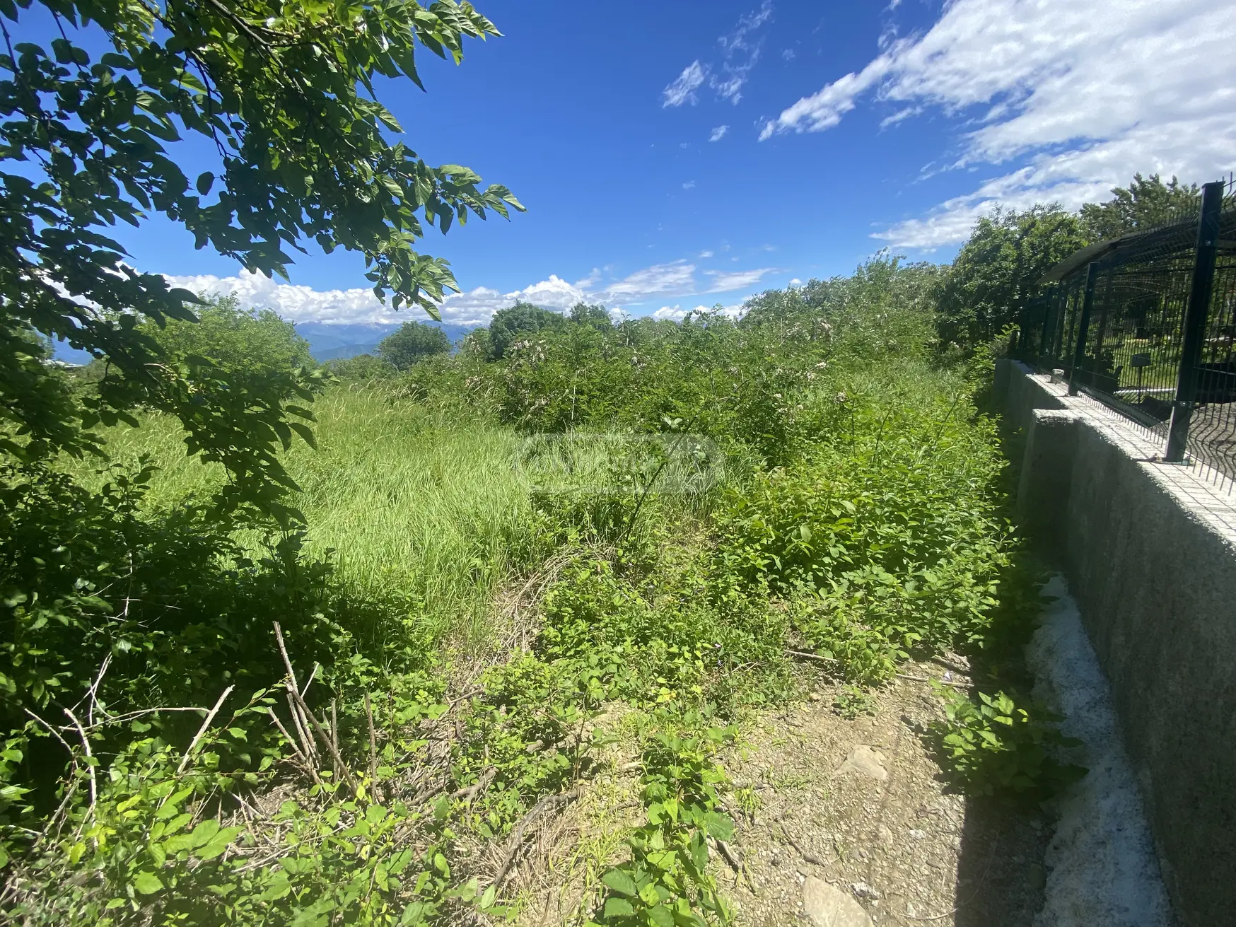 იყიდება Agricultural Plot In Vardisubani, In Telavi Municipalityში view 2