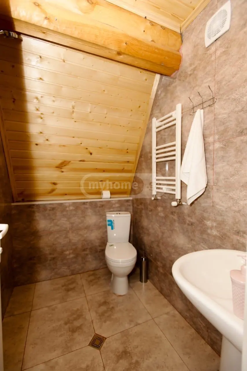 3 Room Country House Daily Rent In Borjomi view 11