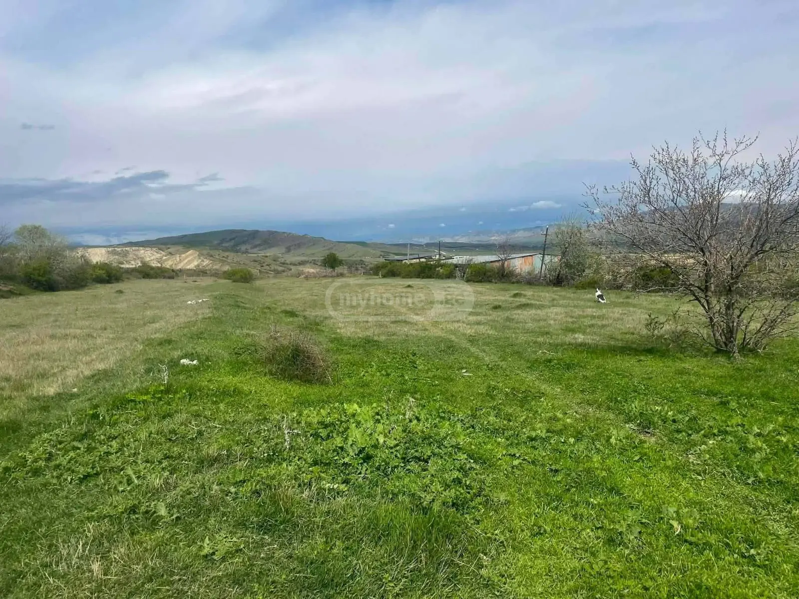 იყიდება Agricultural Plot In Mtskhetaში view 2