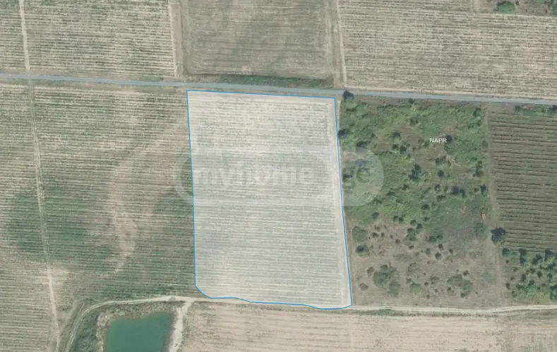 Agricultural Plot For Sale In Kvareli view 6