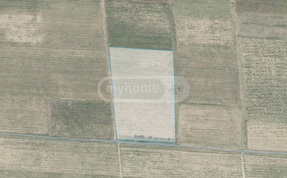 Agricultural Plot For Sale In Kvareli view 6