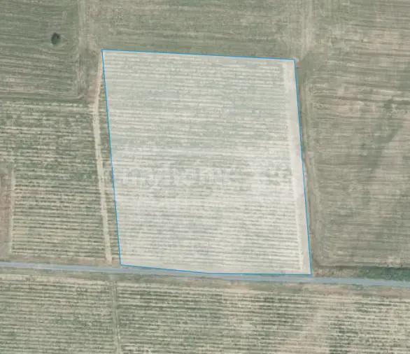 Agricultural Plot For Sale In Kvareli view 5