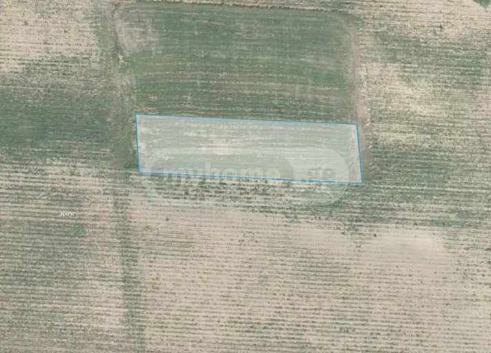 Agricultural Plot For Sale In Kvareli view 4