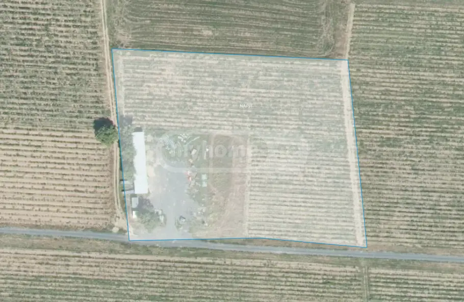Продажа Agricultural Plot в In Kvareli view 4