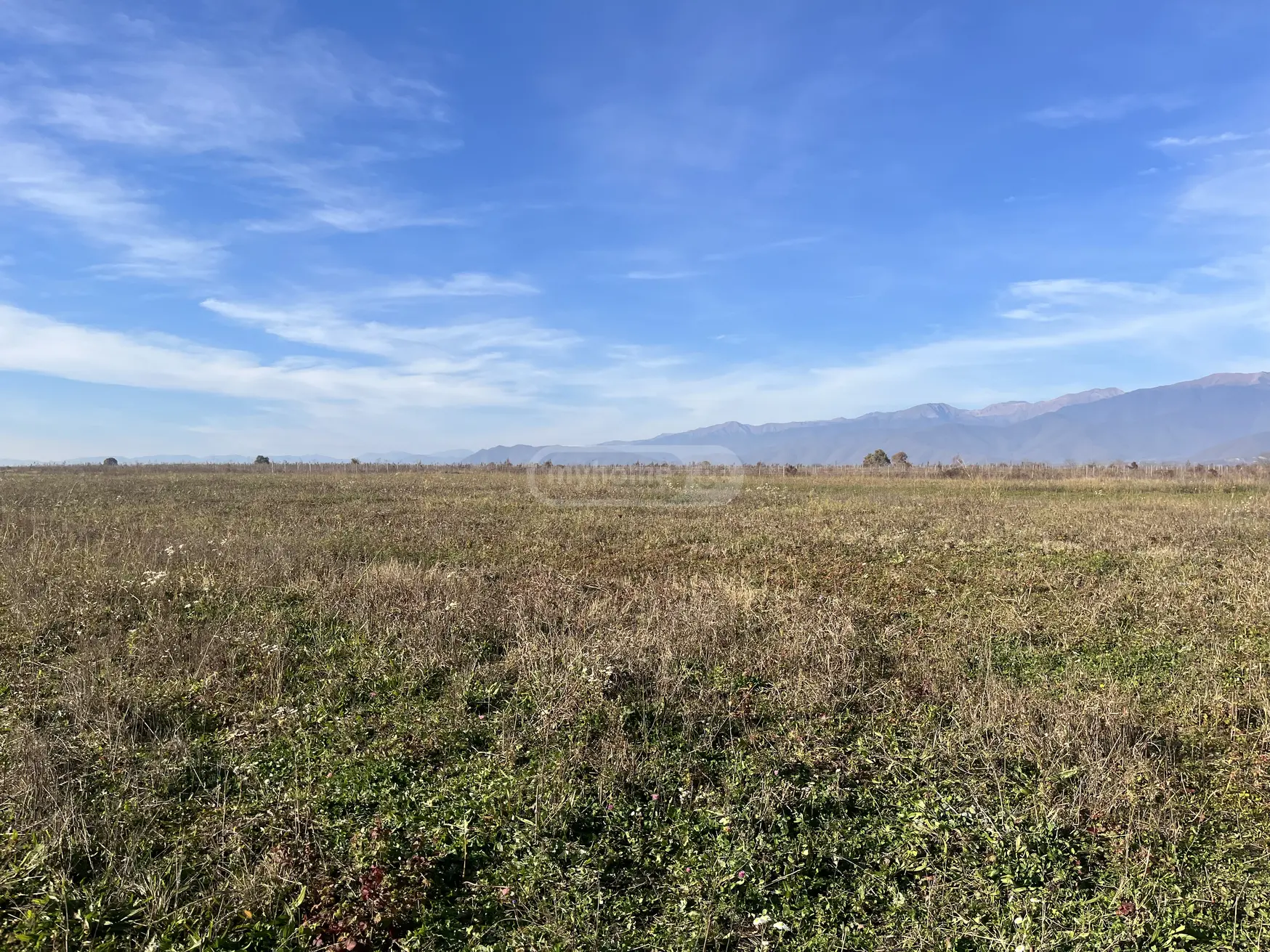 Agricultural Plot For Sale In Kvareli view 3