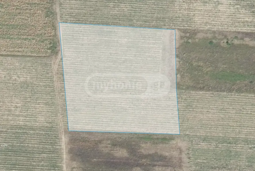 იყიდება Agricultural Plot In Kvareliში view 5