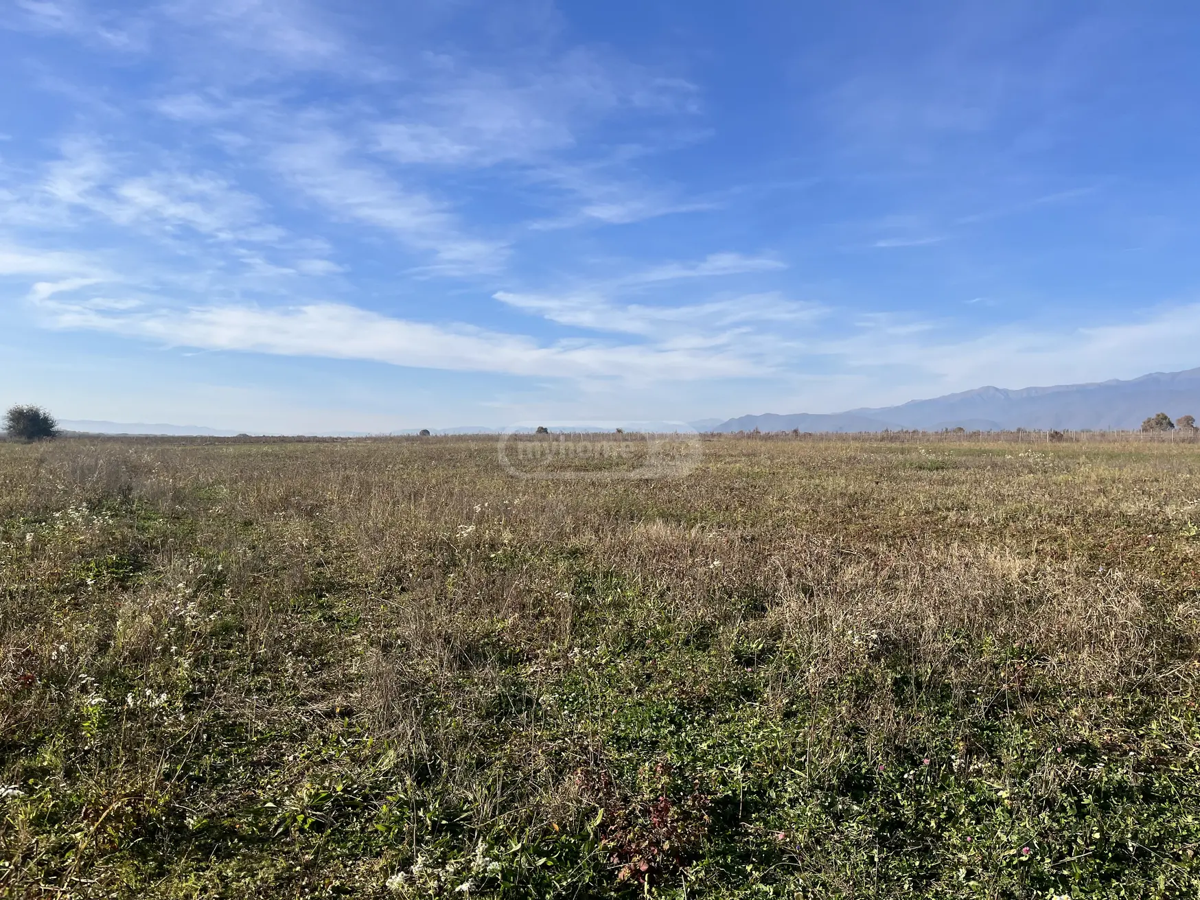 Agricultural Plot For Sale In Kvareli view 2