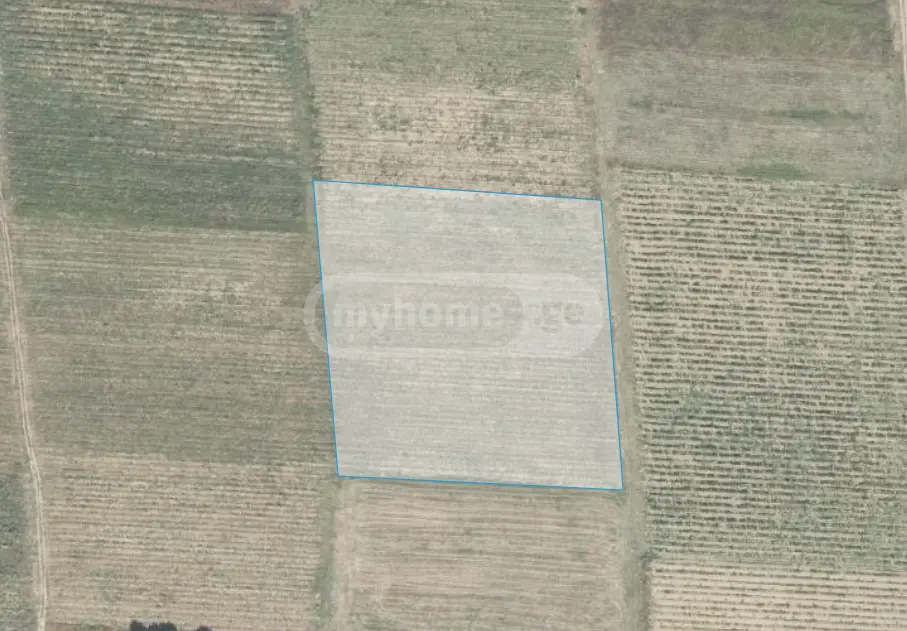 იყიდება Agricultural Plot In Kvareliში view 4