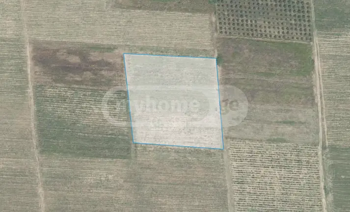 Agricultural Plot For Sale In Kvareli view 6