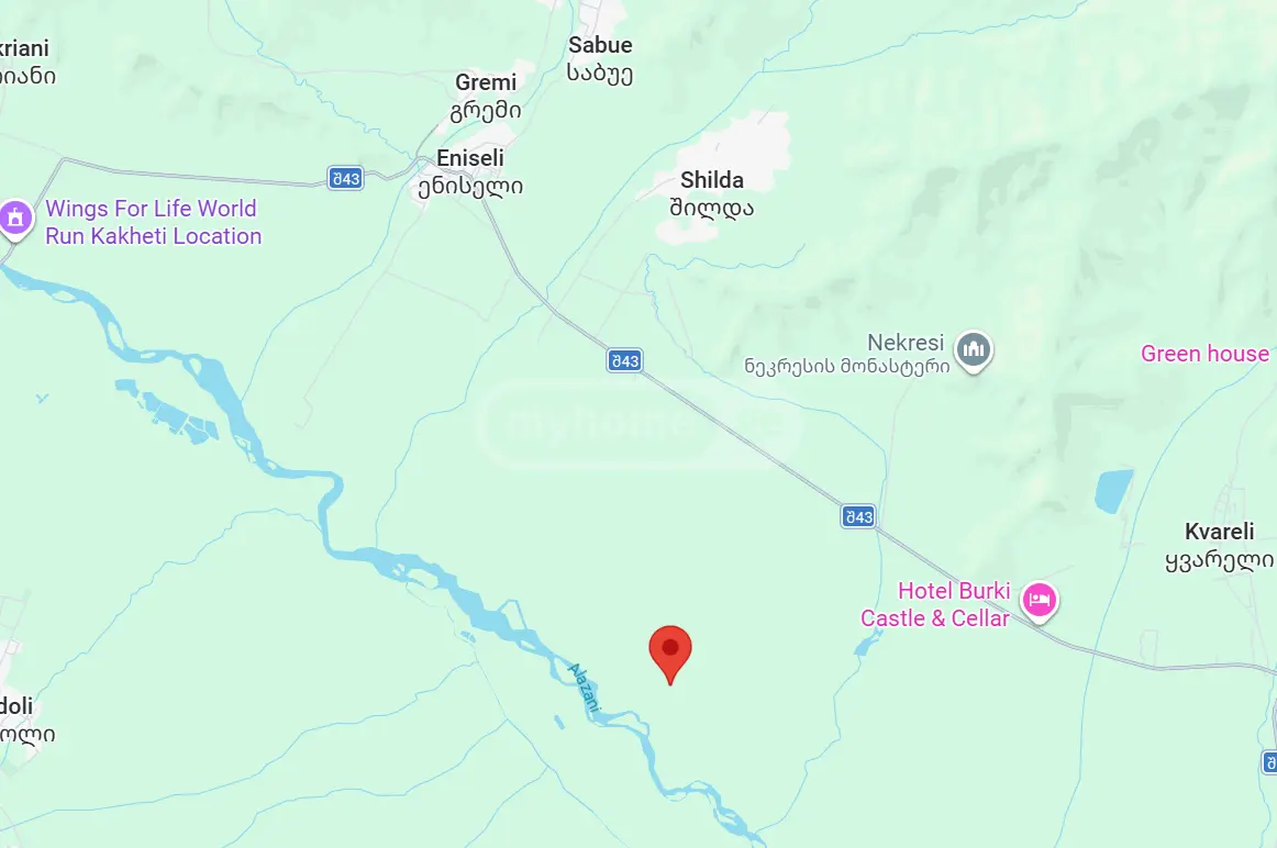 Agricultural Plot For Sale In Kvareli view 7
