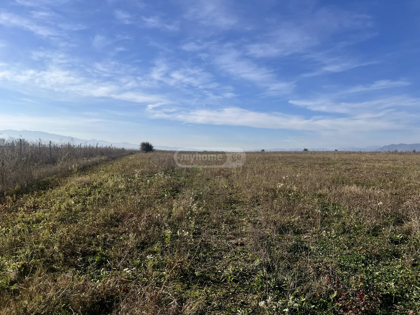 Agricultural Plot For Sale In Kvareli view 1