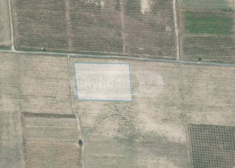 Agricultural Plot For Sale In Kvareli view 5