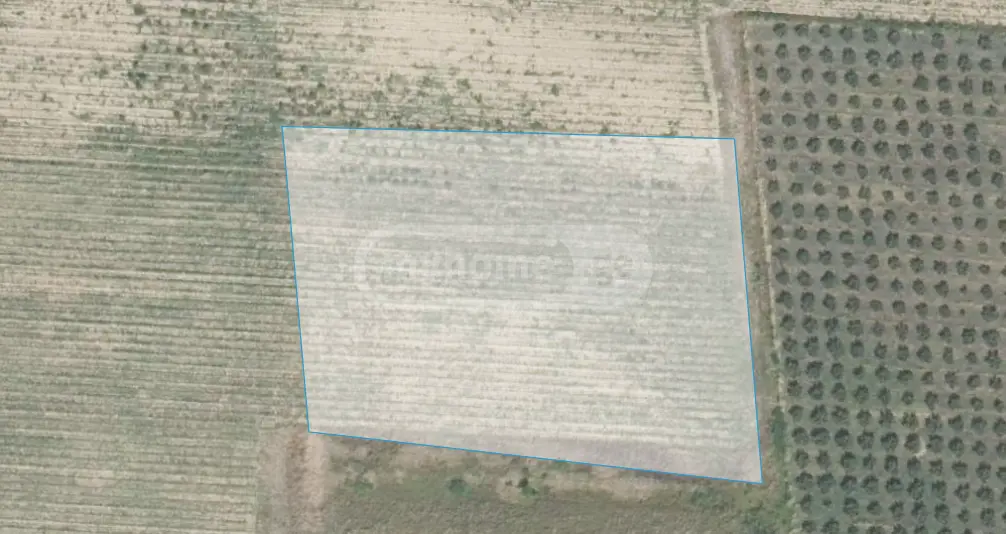 Agricultural Plot For Sale In Kvareli view 5