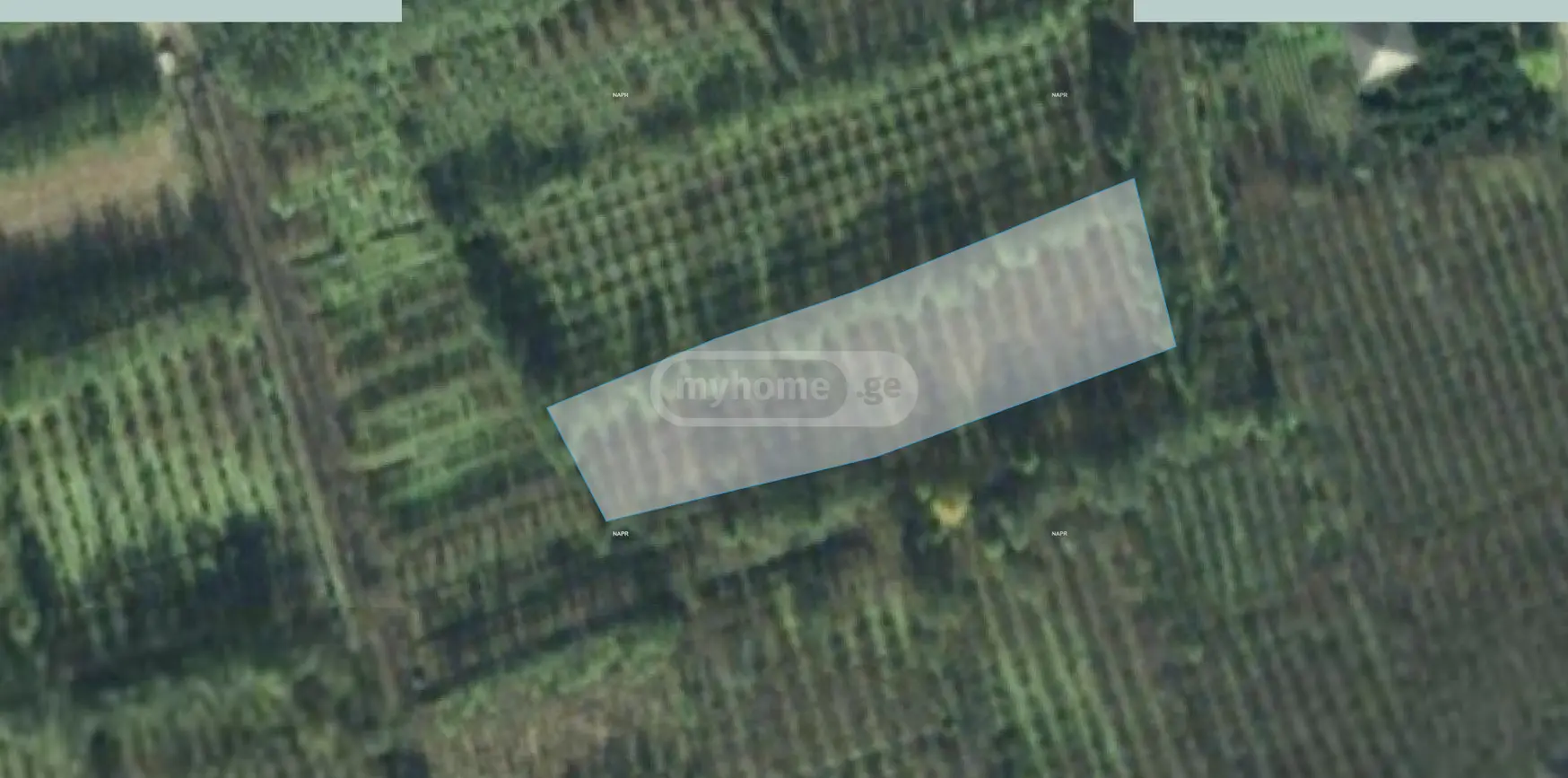 Agricultural Plot For Sale In Ganarjiis Mukhuri, In Zugdidi Municipality view 1