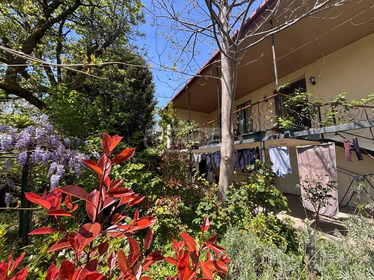 7 Room Country House For Sale view 7
