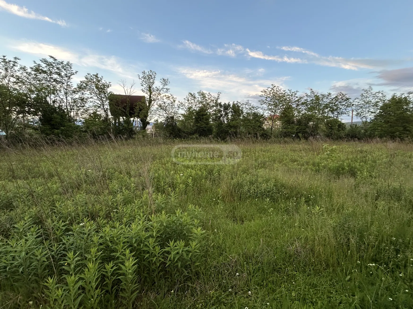 იყიდება Agricultural Plot In Gumbra, In Tskaltubo Municipalityში view 2