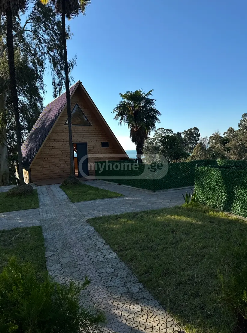 2 Room Country House For Rent In Kobuleti Municipality view 10