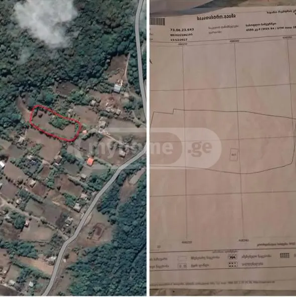 Agricultural Plot For Sale In Tianeti, In Tianeti Municipality view 1