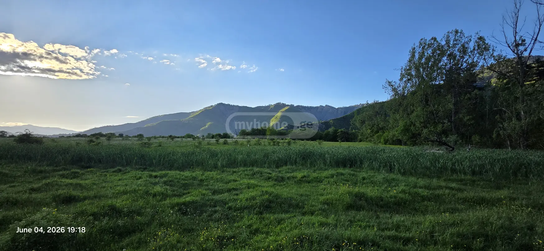 Agricultural Plot For Sale In Tsemi, In Borjomi Municipality view 1