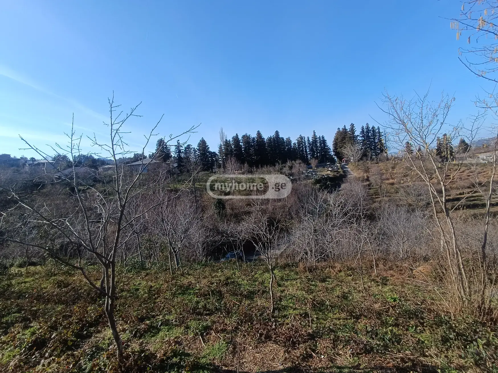 Agricultural Plot For Sale In Batumi view 11