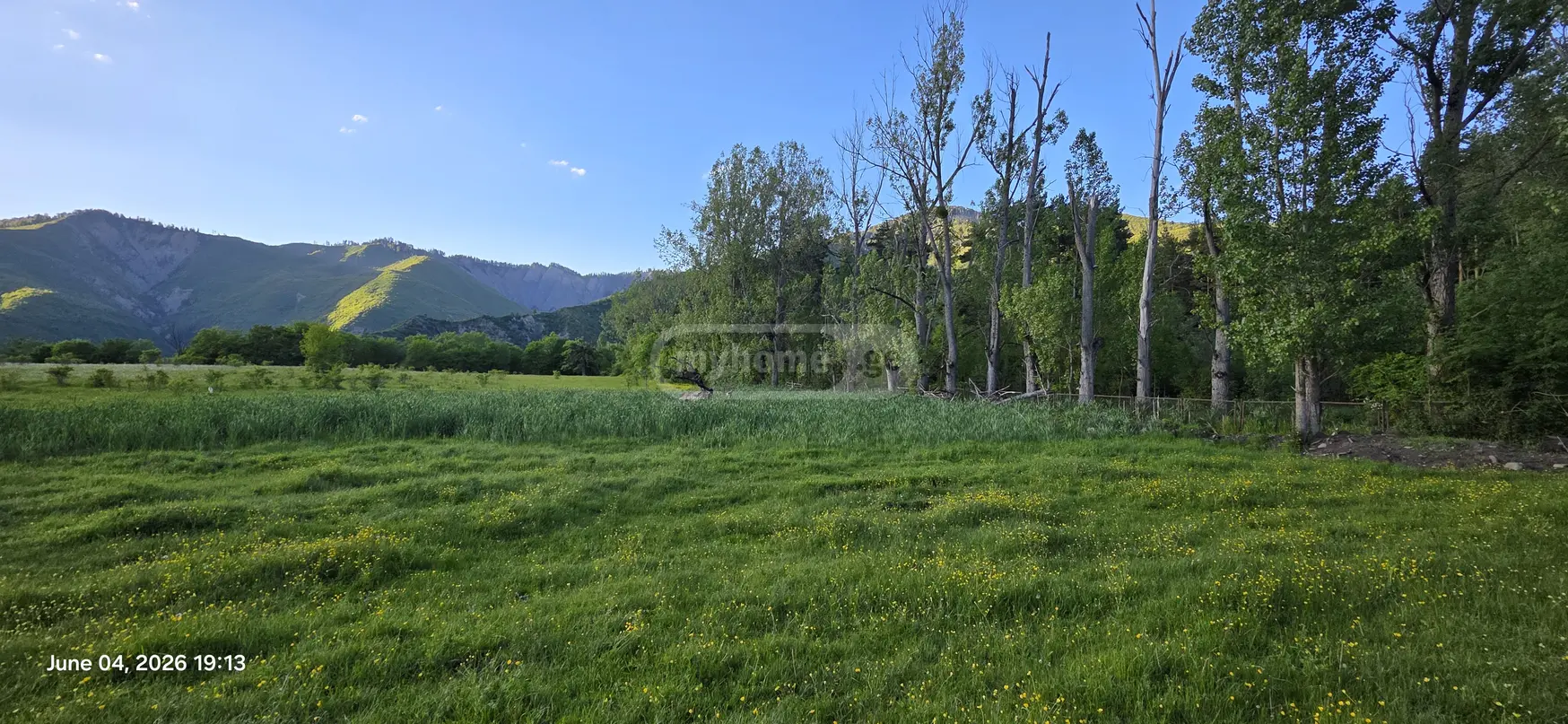 Agricultural Plot For Sale In Tsemi, In Borjomi Municipality view 15