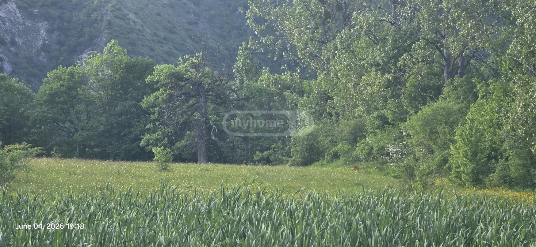 Agricultural Plot For Sale In Tsemi, In Borjomi Municipality view 7