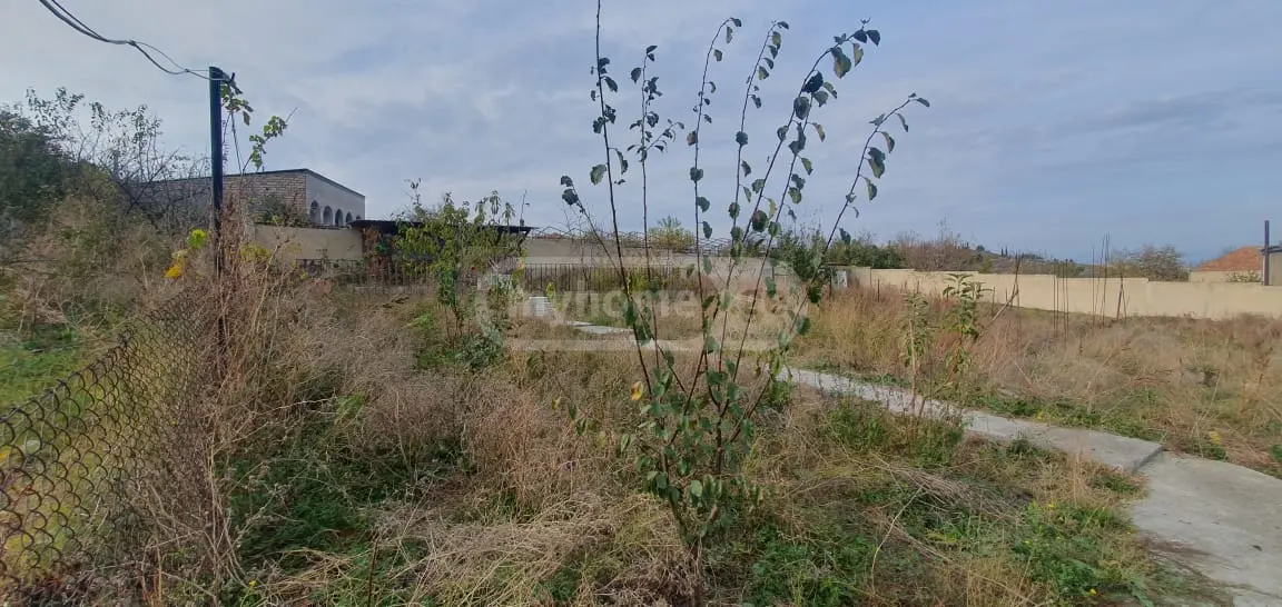 Agricultural Plot For Sale In Mtskheta view 10