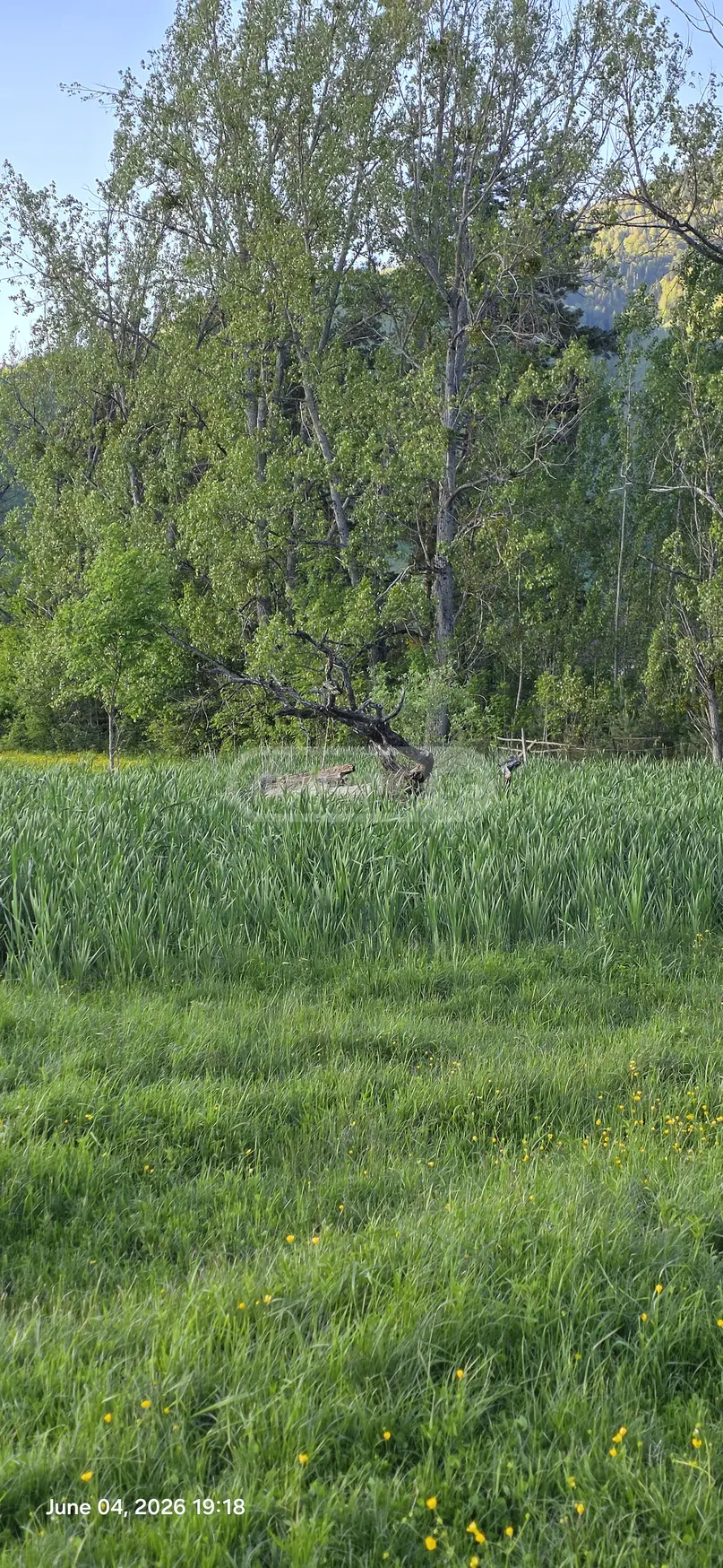 Agricultural Plot For Sale In Tsemi, In Borjomi Municipality view 5