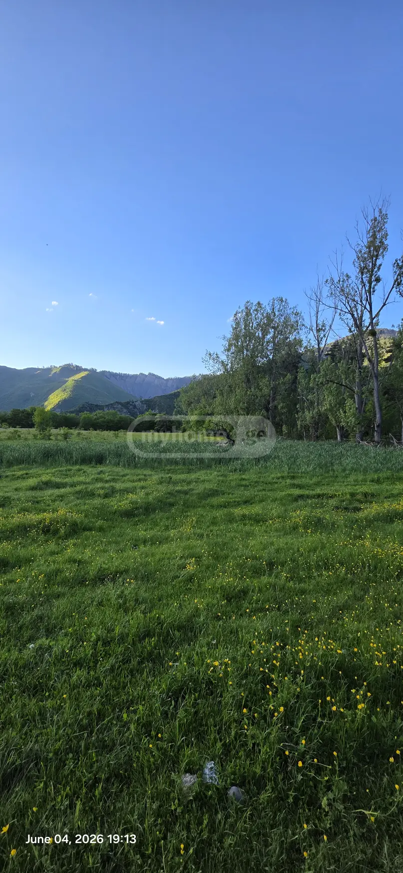 Agricultural Plot For Sale In Tsemi, In Borjomi Municipality view 16