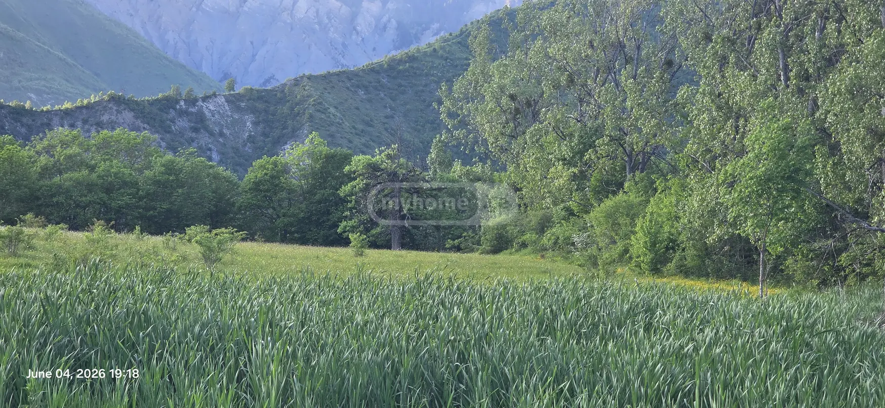 Agricultural Plot For Sale In Tsemi, In Borjomi Municipality view 8