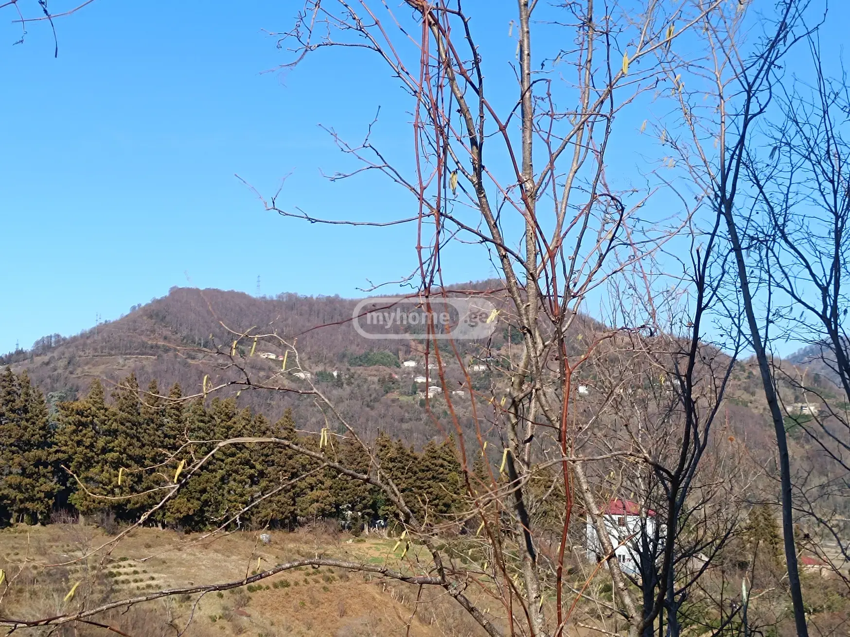 Agricultural Plot For Sale In Batumi view 2
