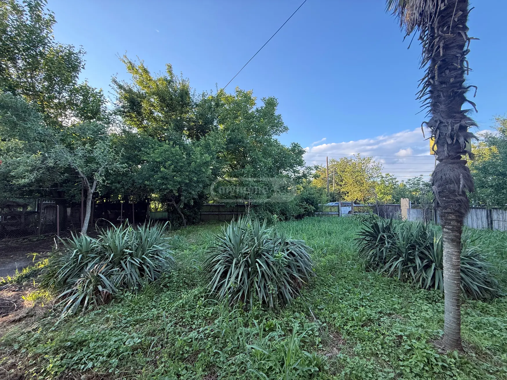 Non-Agricultural Plot For Sale In Rioni, In Tskaltubo Municipality view 3