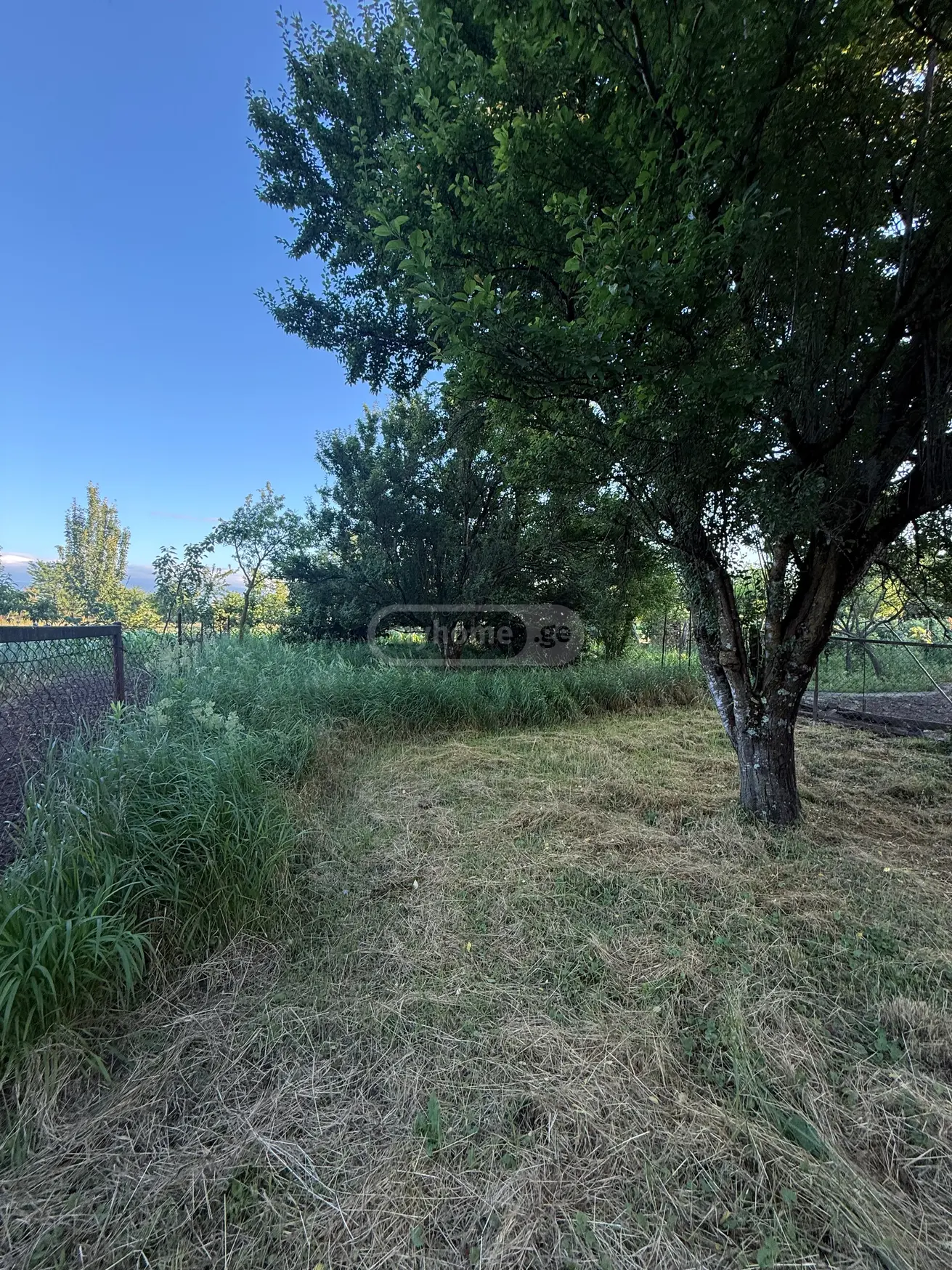 Non-Agricultural Plot For Sale In Rioni, In Tskaltubo Municipality view 2