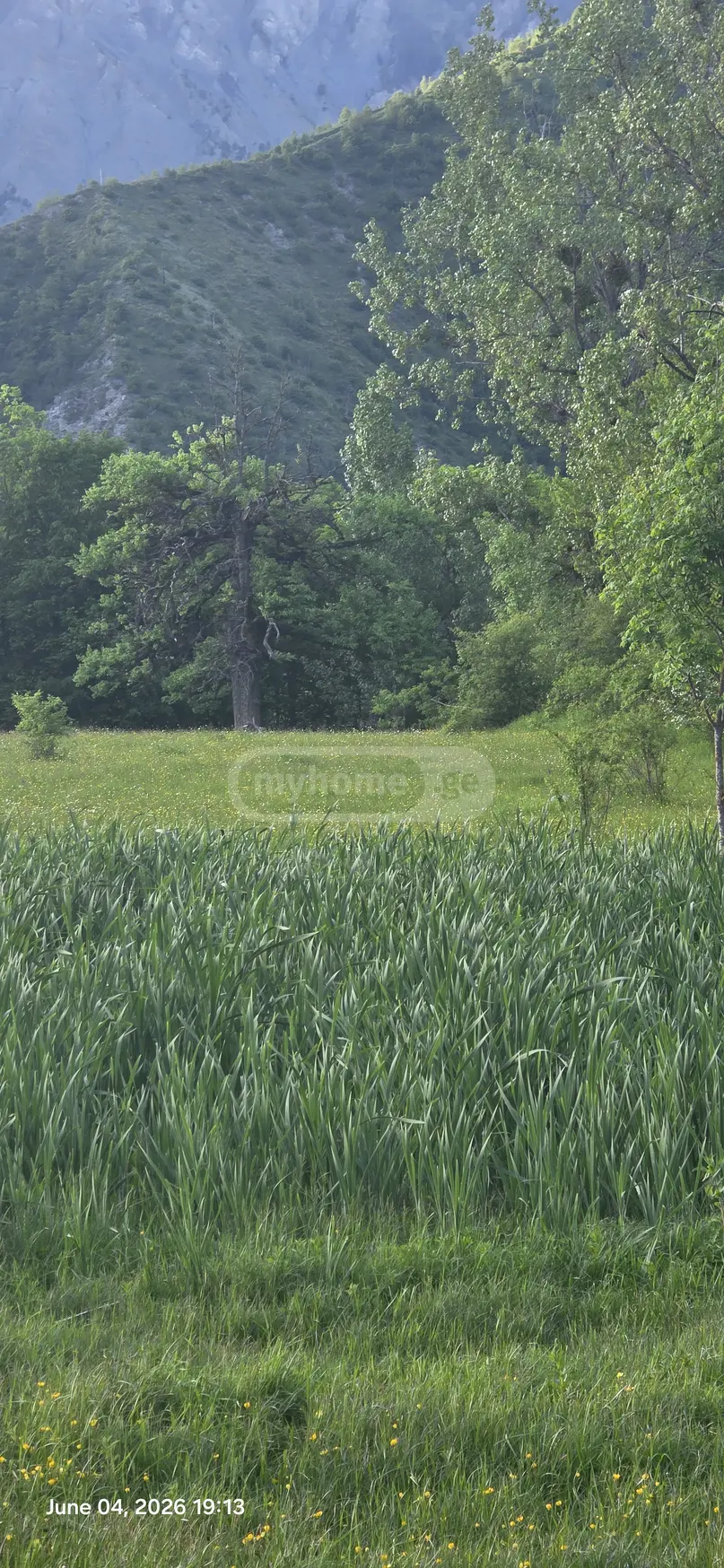 Agricultural Plot For Sale In Tsemi, In Borjomi Municipality view 14