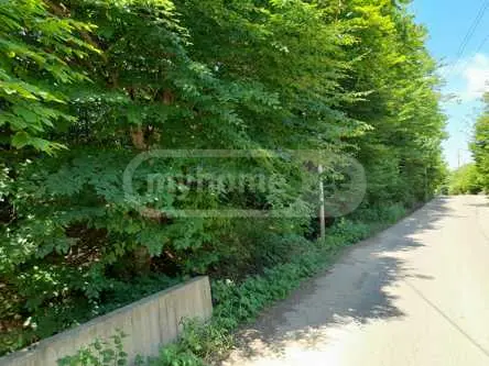 Agricultural Plot For Sale In Betania view 3